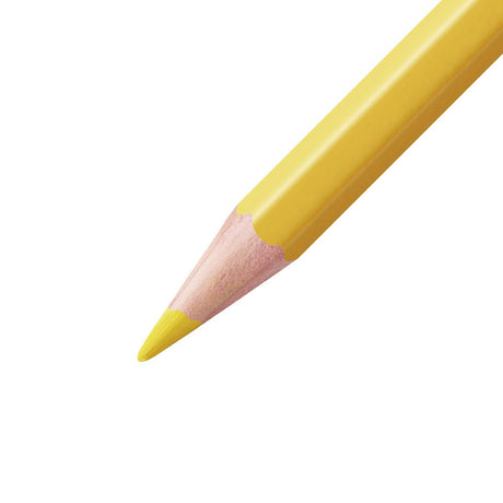 Stabilo Aquacolor-Stifte 12 Farben