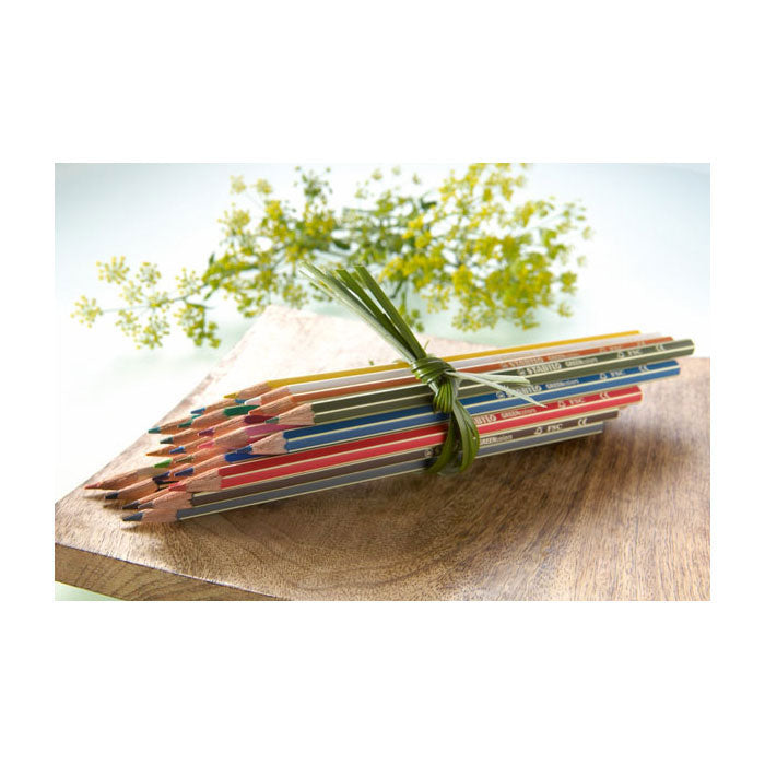 Abi Stlo Greencolors Arty Buntstifte, Etui mit 24 Stück