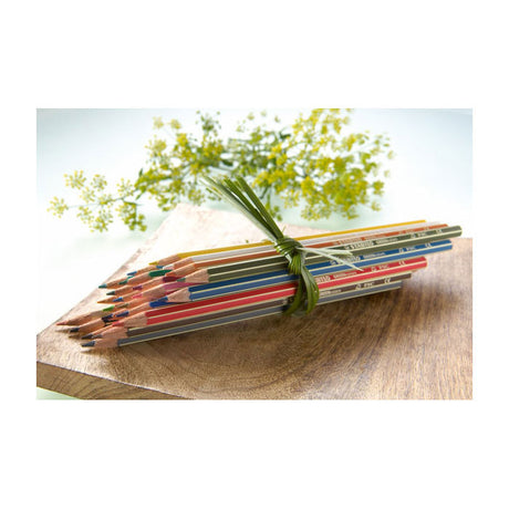 Abi Stlo Greencolors Arty Buntstifte, Etui mit 24 Stück