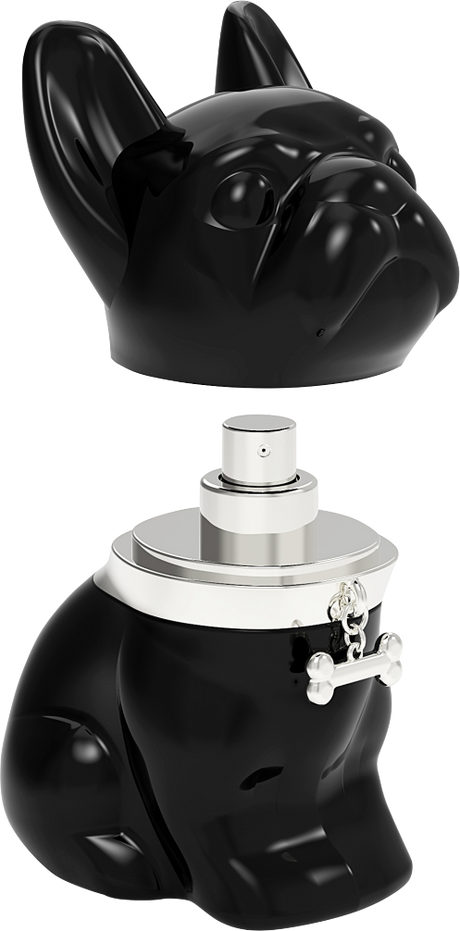 Jean-Pierre Sand Eau de Parfum Apello Black für Herren 75 ml