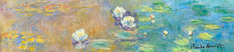 Brillygv2 Musik: Monet Nympheas. (la