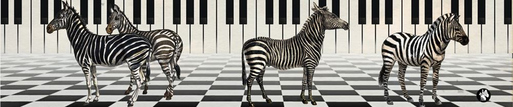 Rondo48 muziekje: zebra 01 (frére jacque | 2 stuks