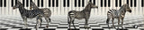 Rondo48 muziekje: zebra 01 (frére jacque | 2 stuks