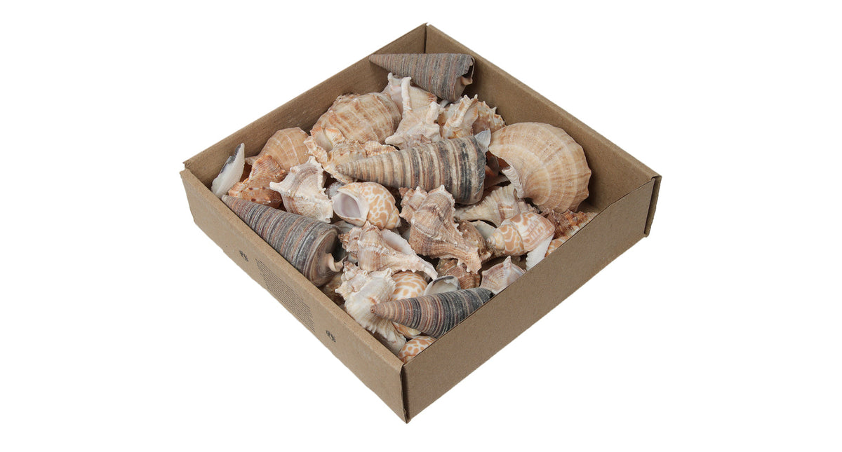 W b. mixed shells c natural 500 gr.