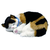 Perfekte Petzzz, perfekte Petzzz, weiche Kattunkatze
