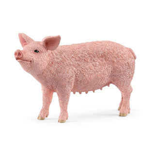 Schleich Bauernhofwelt - Schwein - 13933
