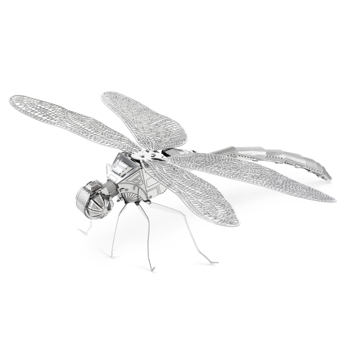 Eureka-Metallerde-Libelle