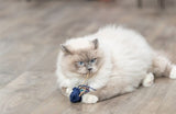 Trixie Marine Animal Plüsch mit Catnip Assorti