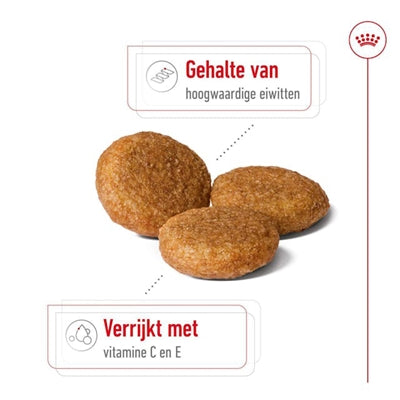 Royal Canin Medium Erwachsener