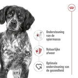 Royal Canin Medium Erwachsener