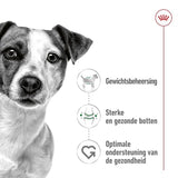 Royal Canin Canin Mini Erwachsener