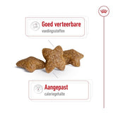 Royal Canin Mini Erwachsener