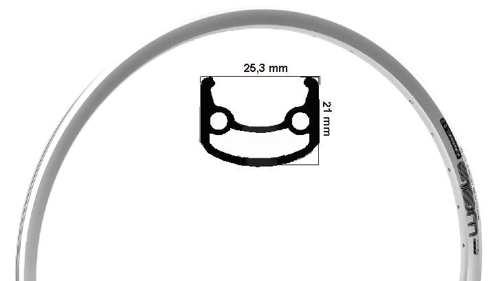 Rodi Web Disk (Discbremse) E-Bike Rand 26 Zoll 559 Silber 36 Loch 14