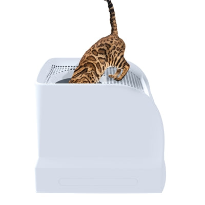 Imac Katzentoilette Frida mit Schublade hellblau