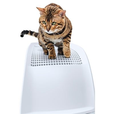 Imac Katzentoilette Frida mit Schublade hellblau