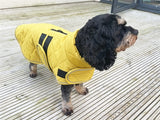 Happy Pet Hundemantel „Go Walk“, gesteppt, klassisch, Senfgelb