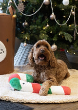 Amor-Komet Carrie Zuckerstange Weihnachtsstab-Plüsch