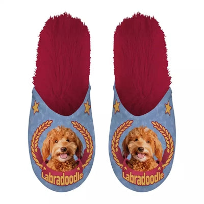 Slipper Labradoodle lila rot