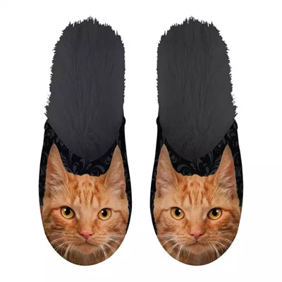 Slipper orange Katze schwarz