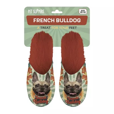 Slipper Französische Bulldogge Französische Bulldogge Orange