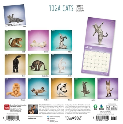 Kalender Yoga Katzen 2025