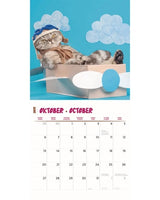 Kalender lustigste Katzen 2025