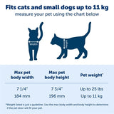 Petsafe Katzenklappe große Katze 2.0 Klappe