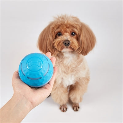 Fofos wiederaufladbarer Rollball für Hunde