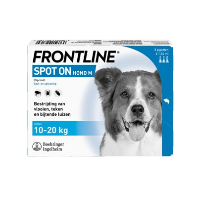 Der Hund an vorderster Front ist genau richtig