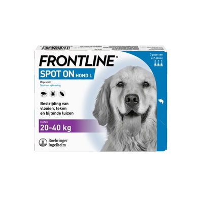 Der Hund an vorderster Front ist genau richtig
