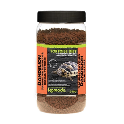 Komodo-Schildkröten füttern Löwenzahn
