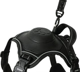 Zolux Easyride Hundegeschirr schwarz