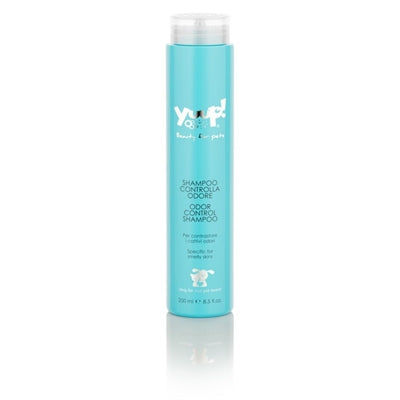 Juhu! Geruchskontrollierendes Shampoo