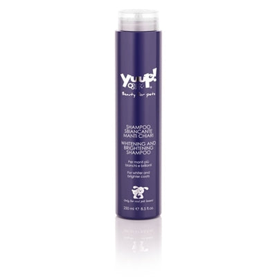 Juhu! Aufhellendes und aufhellendes Shampoo