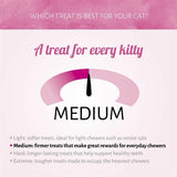 Antos Cat Soft Sticks Madam Lachsforelle