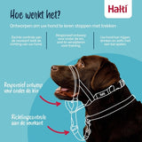 The Company of Animals Company of Animals Halti Halfter schwarz