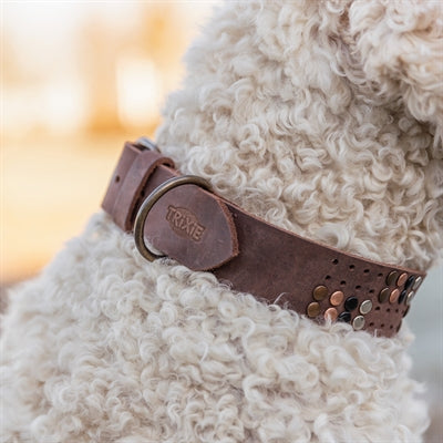 Trixie Hundehalsband Niete rustikal Fettleder dunkelbraun