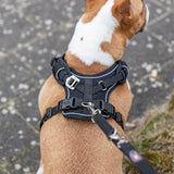 Trixie Hundegeschirr Premium Flexmesh breite Brust schwarz