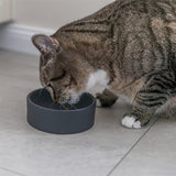 Trixie Katzenfutternapf aus Keramik, sortiert