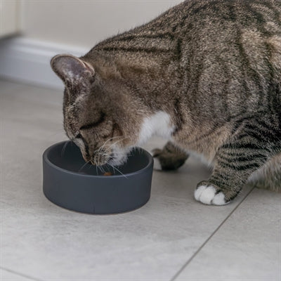 Trixie Katzenfutternapf aus Keramik, sortiert