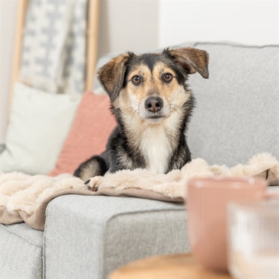 Trixie Hundedecke Elli Sand