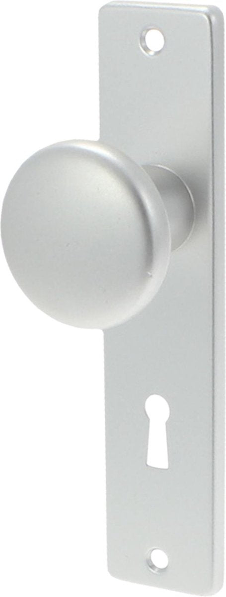 Ami kastknopschild sl56 aluminium f1 312112