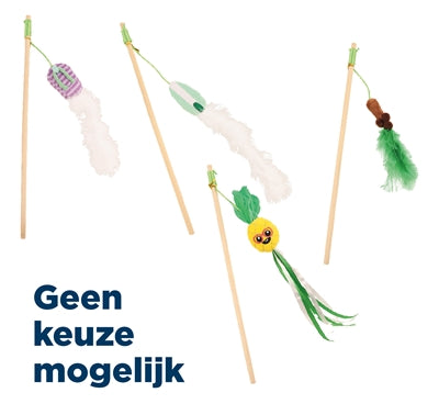 Croci Katzenrute Sommer sortiert
