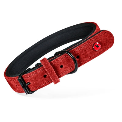 Zolux expert halsband hond premium leer neopreen rood