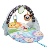 Fisher Price 2in1 Aktivitäten Fitnessstudio