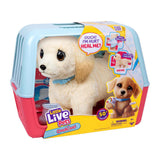 Spectron Little Live Pets Ouchies Welpe Cooper – interaktives Kuscheltier