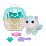 Spectron scruff ein Luvs Mystery Pet Blue