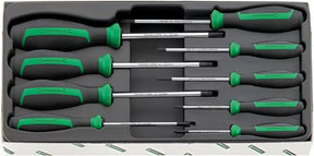 Stahlwille Schraubendrehersatz Torx