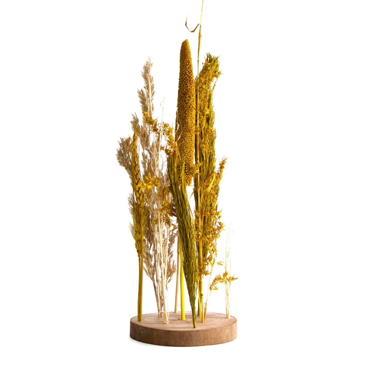 Dijk natural collections droogbloemen met standaard ã˜15x30cm geel