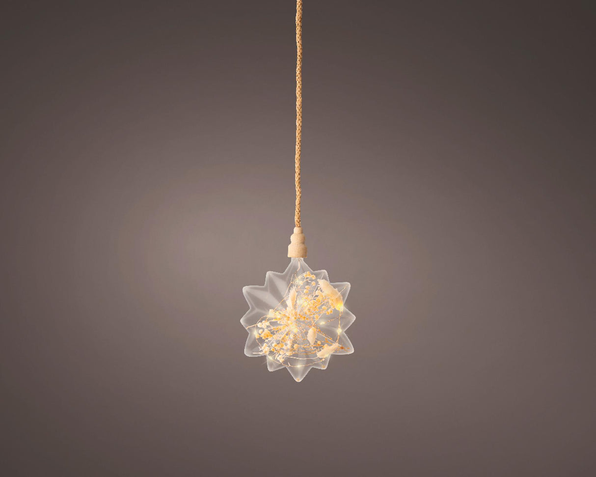Lumineo Micro LED Stern mit Trockenblumen ø 19cm